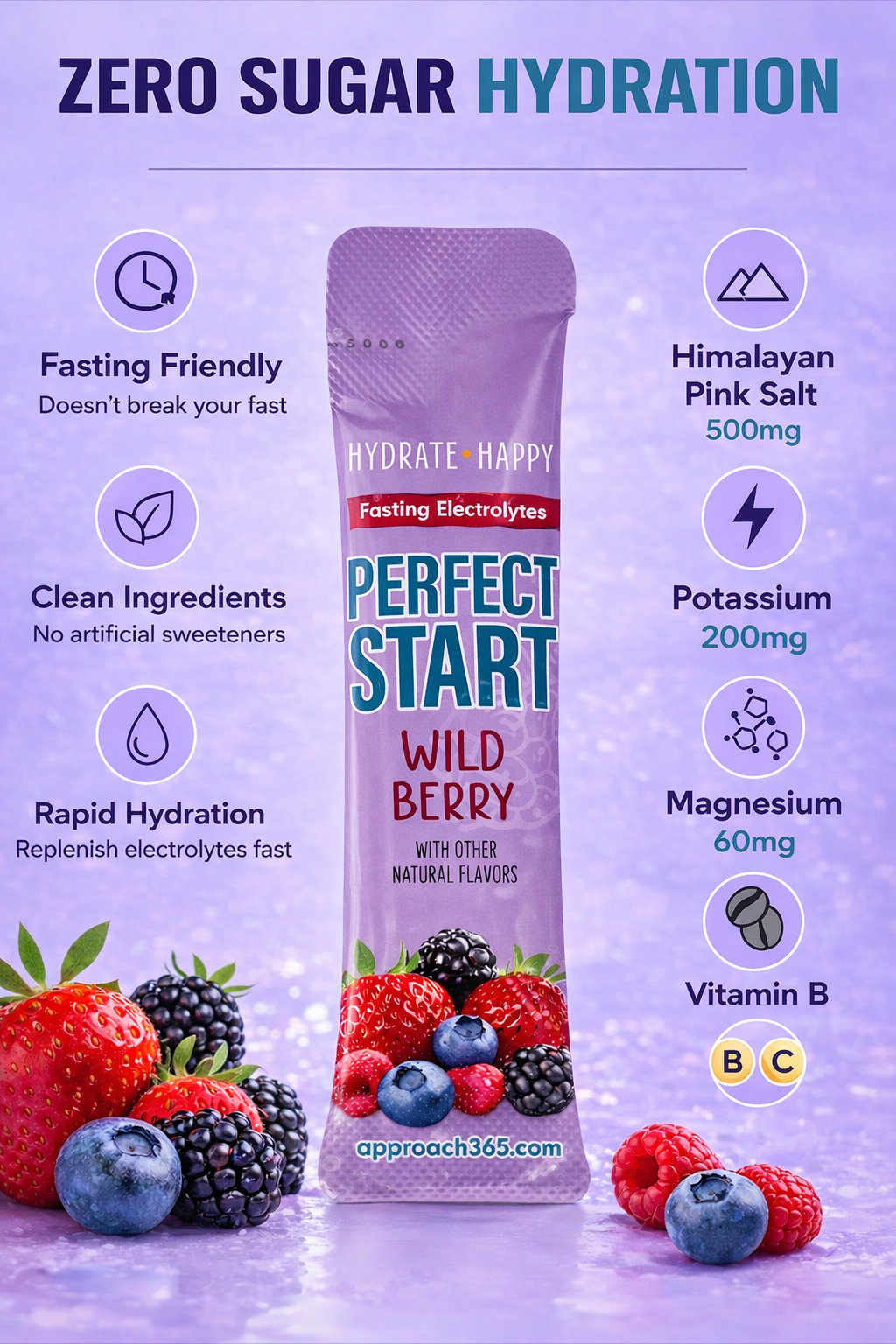 Perfect Start Electrolytes - Wild Berry